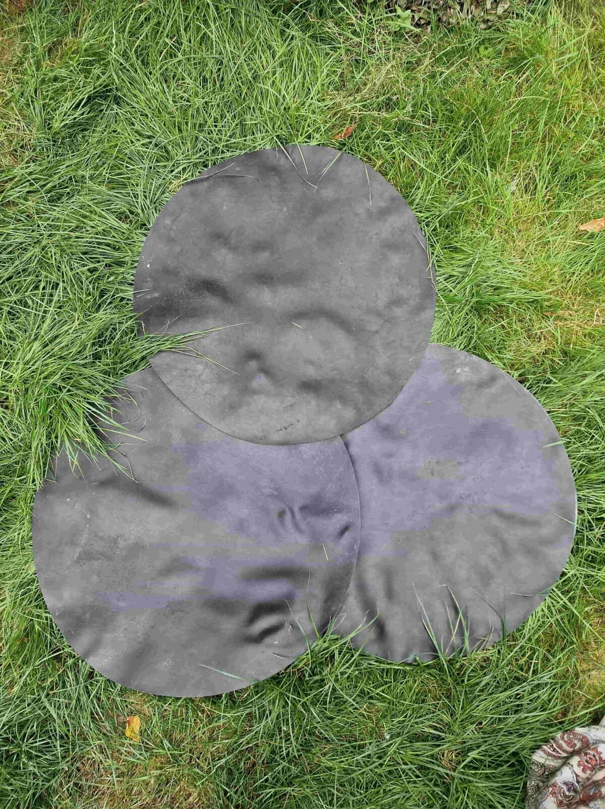 Drumvellen kaal (verscheidene diersoorten) - 2