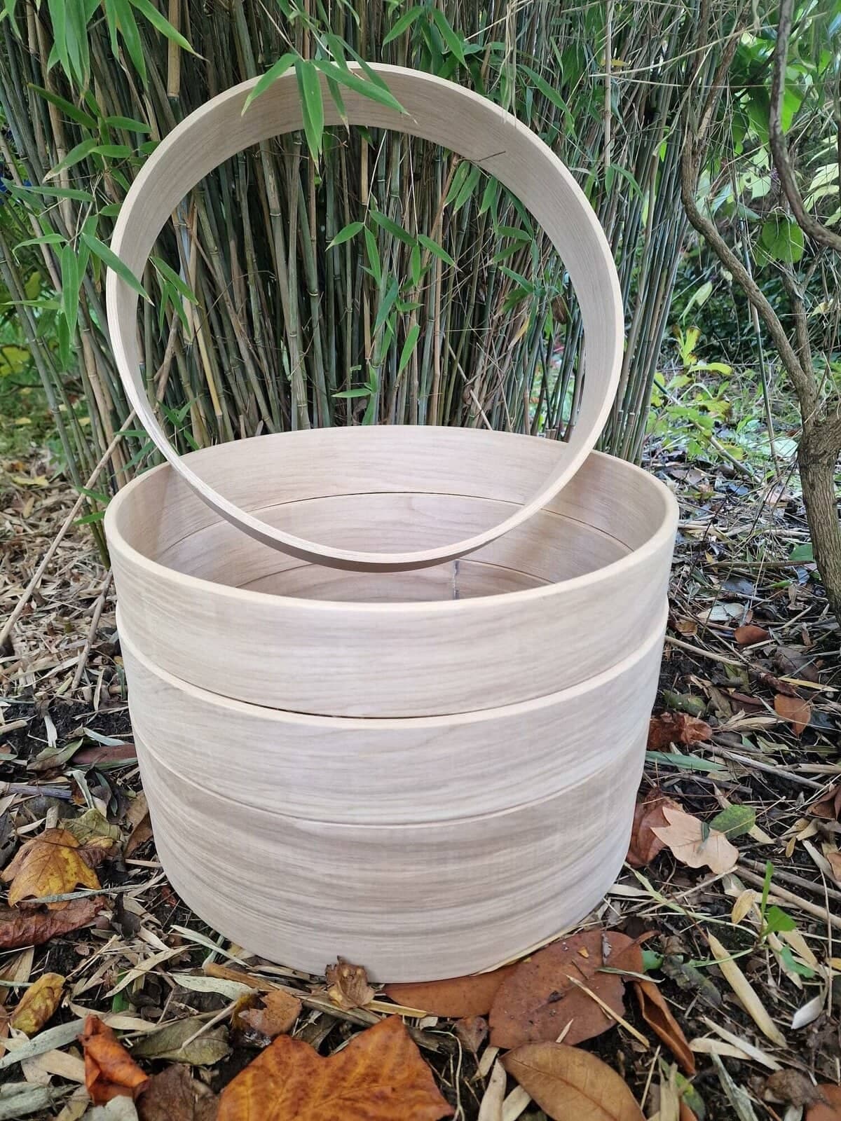 Frames voor sjamanendrum (Essen of Wilg)