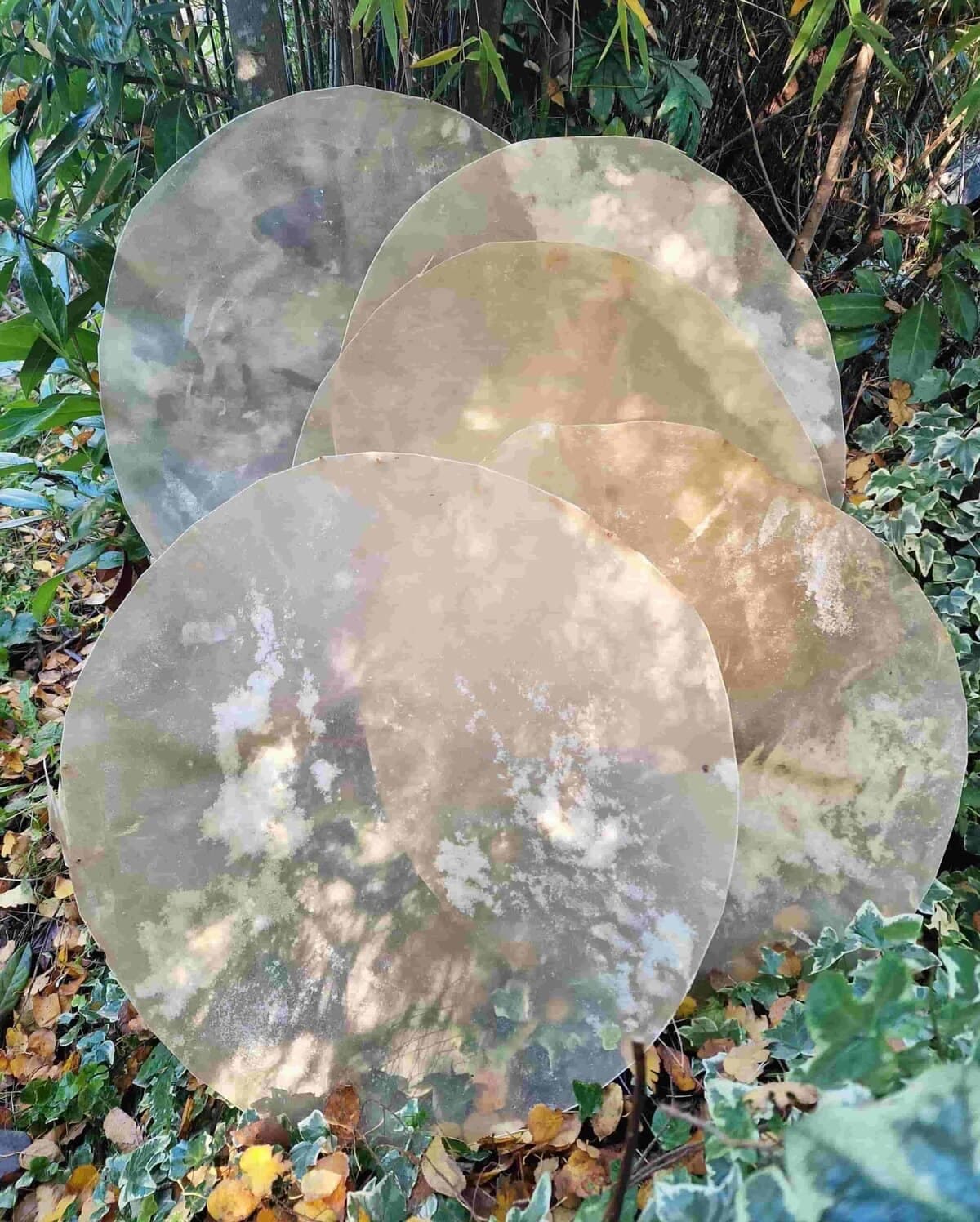 Setdeal 4 huiden plus 1 gratis - 4