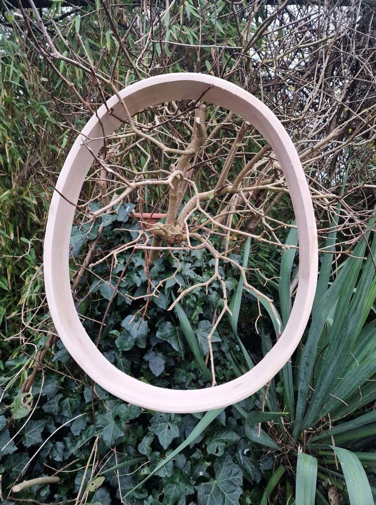 Bijzondere frames sjamanendrum: ei-vormig