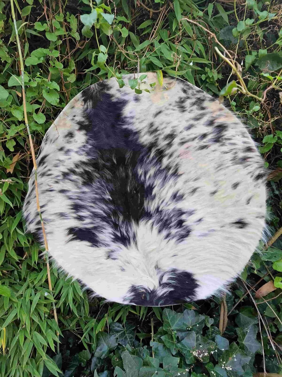 Drumvellen met haar (verscheidene diersoorten)