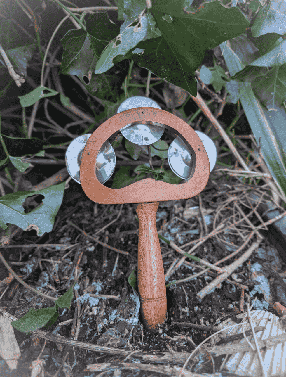 Muziekinstrument de Rammelaar