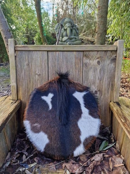 Sjamanendrum 35 cm Geit op Wilg en Maansteen - 4