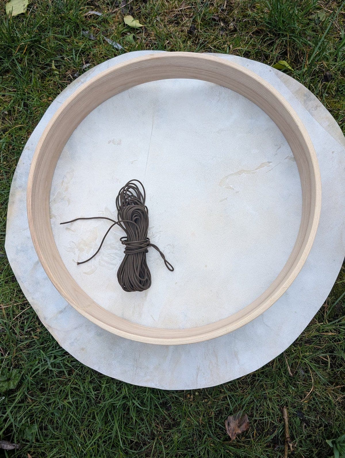 DIY drumbouwpakket Waterbuffel - 3