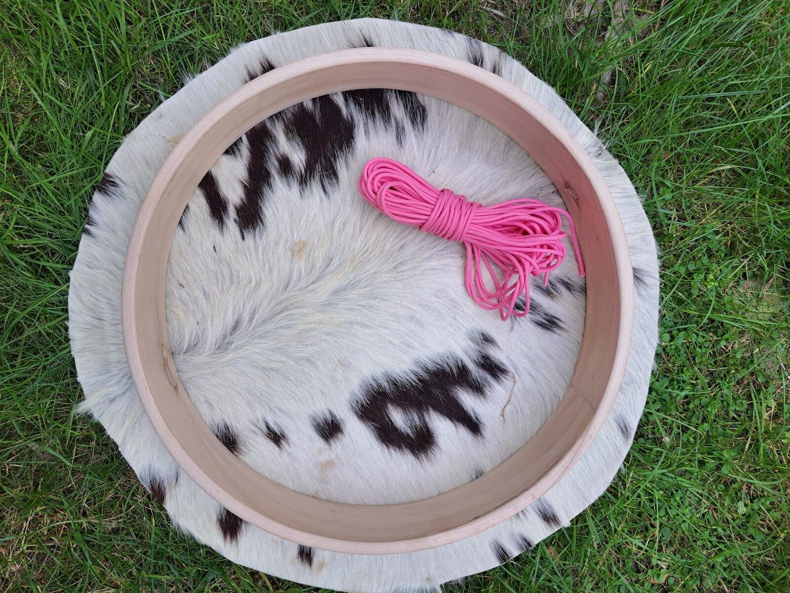 DIY drumbouwpakket Koe