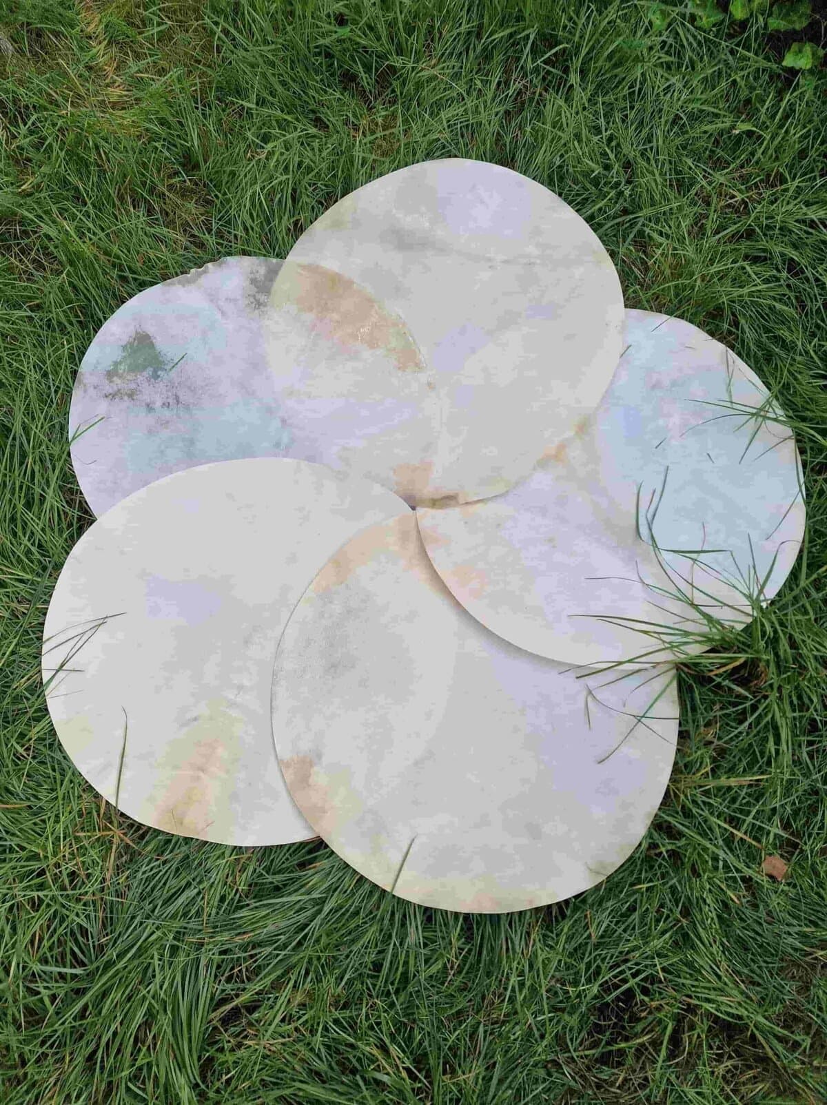 Setdeal 4 huiden plus 1 gratis