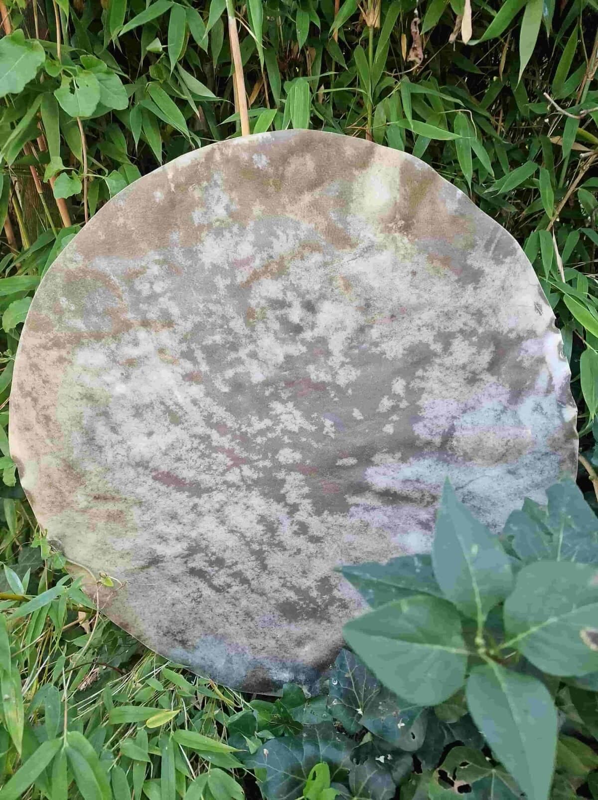Speciale drumvellen extra groot - 4